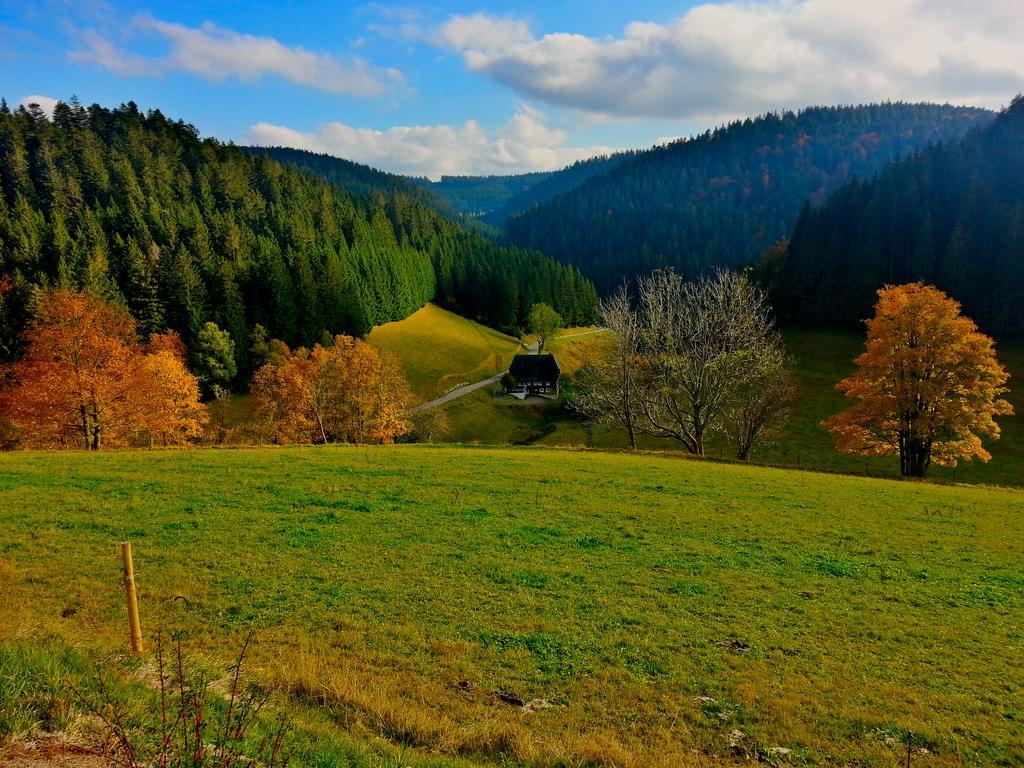 Outdoor & Relax Blackforest Neukirch  Exterior photo